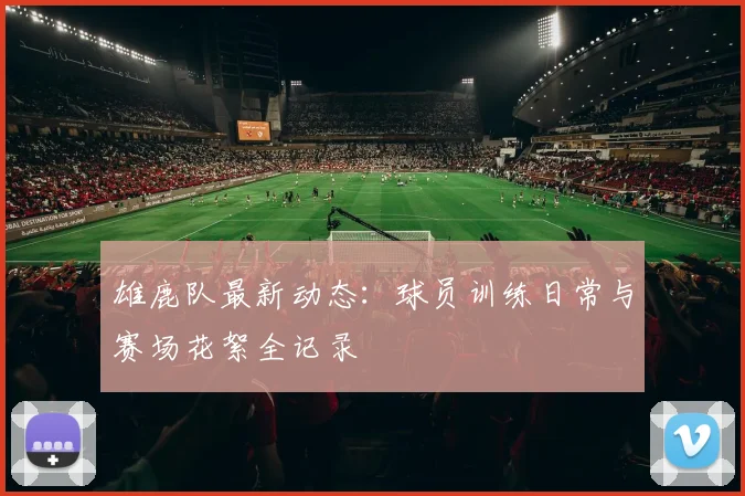 雄鹿队最新动态:球员训练日常与赛场花絮全记录